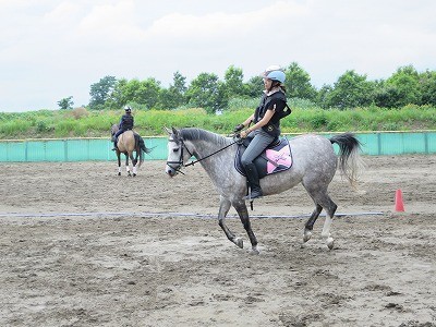 馬と遊ぼう！