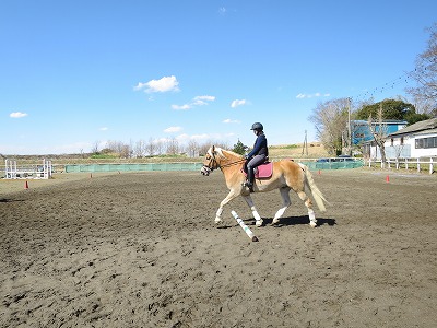 素敵な乗馬体験