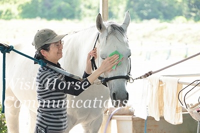 馬の話を聞く