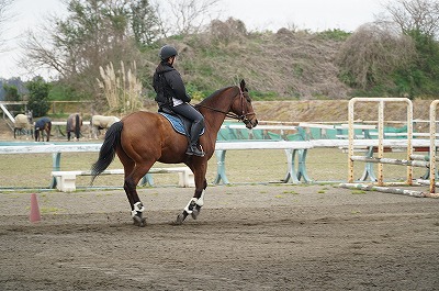 馬に語りかけるように乗る