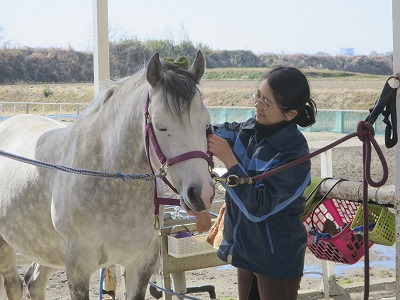 素敵な乗馬体験