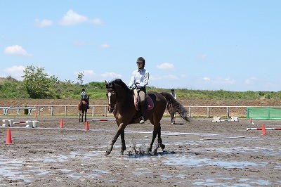 馬のハピネス