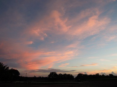 乗馬クラブのきれいな夕焼け