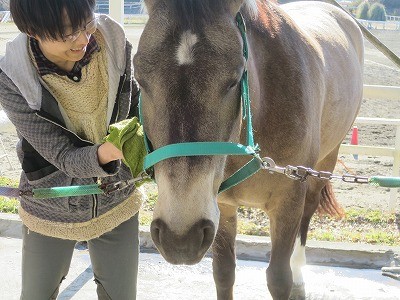 馬と人の良い関係