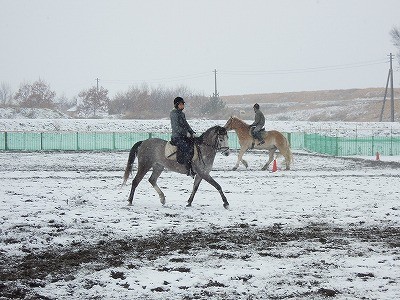 銀世界で馬と遊ぶ！