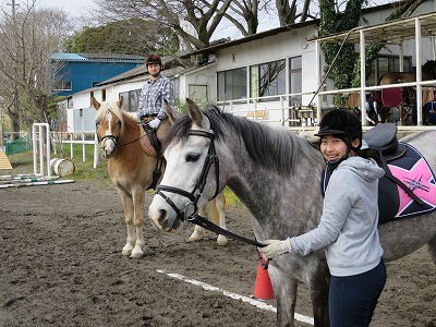 信頼できる馬仲間