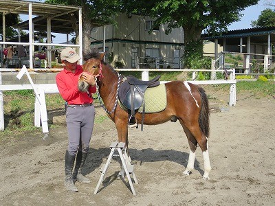 新馬調教　馬を受け止める