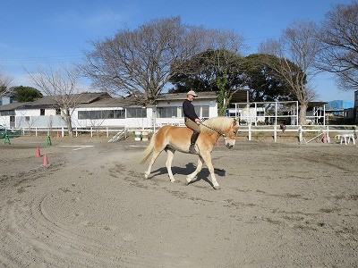 裸馬でハミ受け