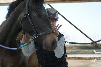 乗馬は素晴らしい！