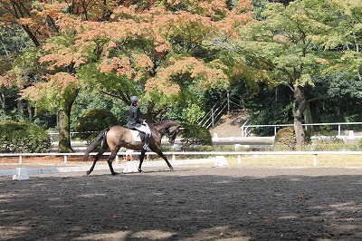 キャロットステークス2015