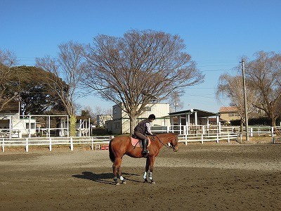 馬も幸せになる乗馬クラブでありますように