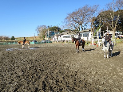 馬とグランドワーク