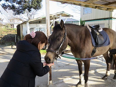 馬とのふれあい