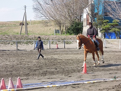 乗馬クラブのレッスン風景