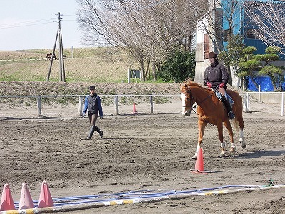 乗馬クラブのレッスン風景