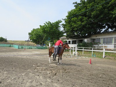新馬調教　乗っかって重みを学習