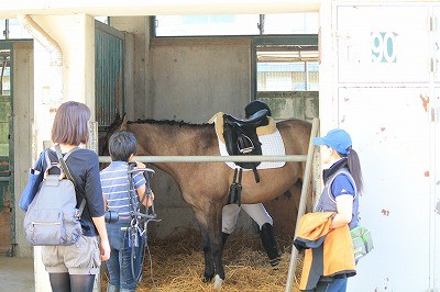 馬術競技会二日目