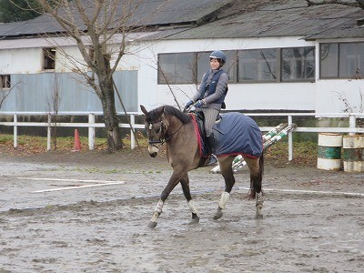 正統派の乗馬クラブ