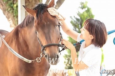 馬が気持ちいいときの表情