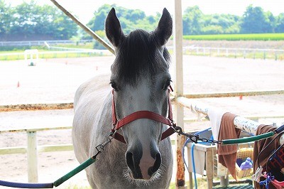 馬達みんな元気です。