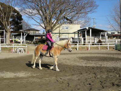 馬が応えてくれる実感