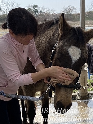 馬の気持ちいい表情