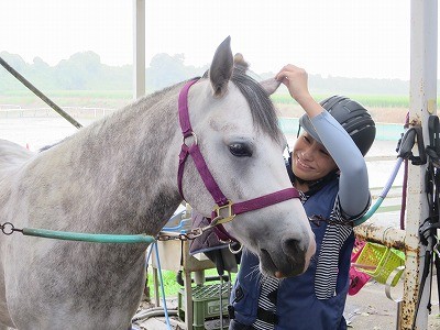 馬の耳の手入れ