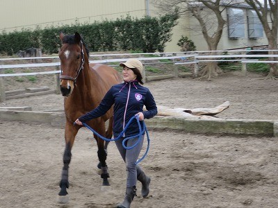 馬と気持ちを合わせる