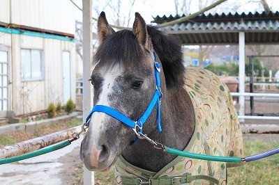 新しい無口、とっても似合っているね