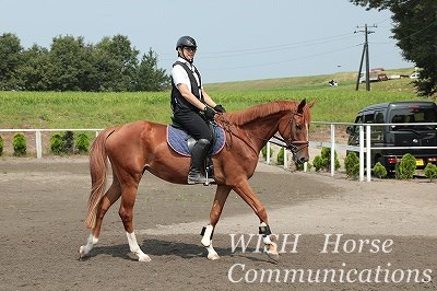 乗馬は馬もリラックス