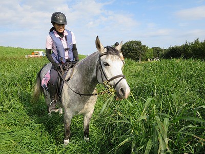 本格馬場馬術から外乗まで