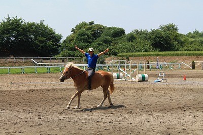 馬と仲良くなるには