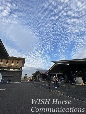 全日本馬場馬術大会