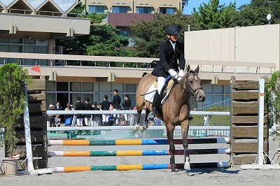 馬術競技会二日目