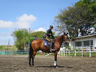 乗馬　馬が動かないときは