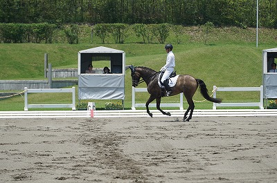 全日本馬場馬術大会