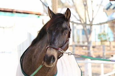 シャンプーの香り♪