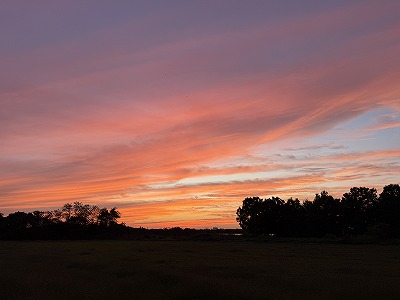 牧場の夕焼け