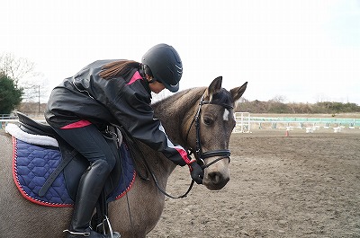 何をいつ与えたらお行儀のよい馬になるかな