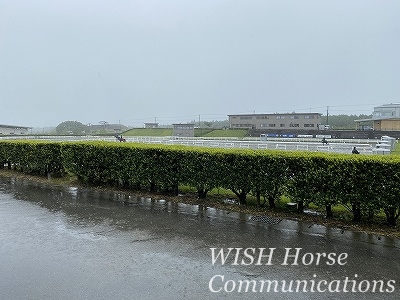 雨降りの入厩日