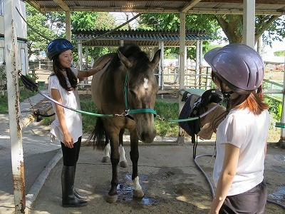 今日の体験乗馬