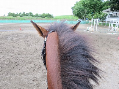 新馬調教　駈歩調教