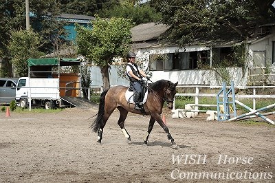 全日本馬場出場権獲得！