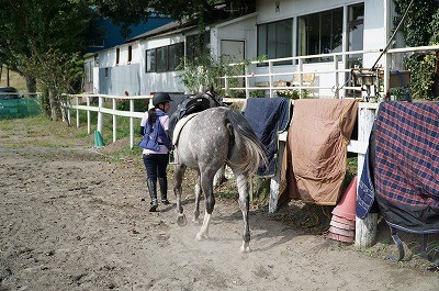 天気のいい日に冬支度