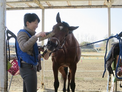 馬とハッピーコミュニケーション