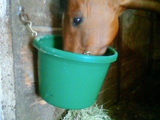 馬達の飼い桶を洗いました