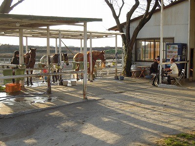 これも乗馬の素敵な時間