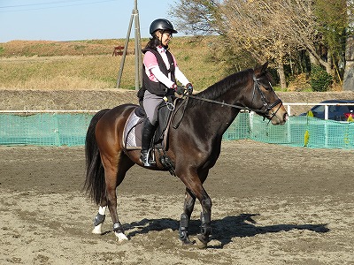 馬に乗るからには馬を幸せにする