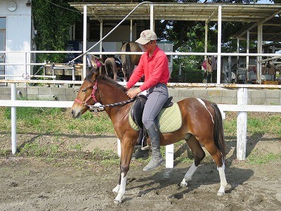 新馬調教　必要なのは観察と判断