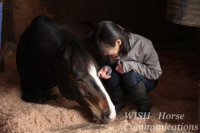 愛情乗馬をはじめよう